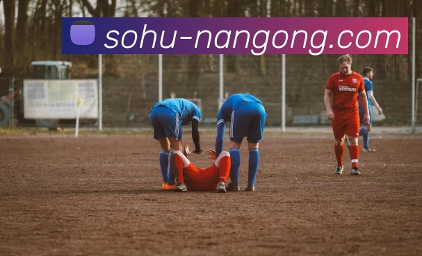 南宫体育平台生态图